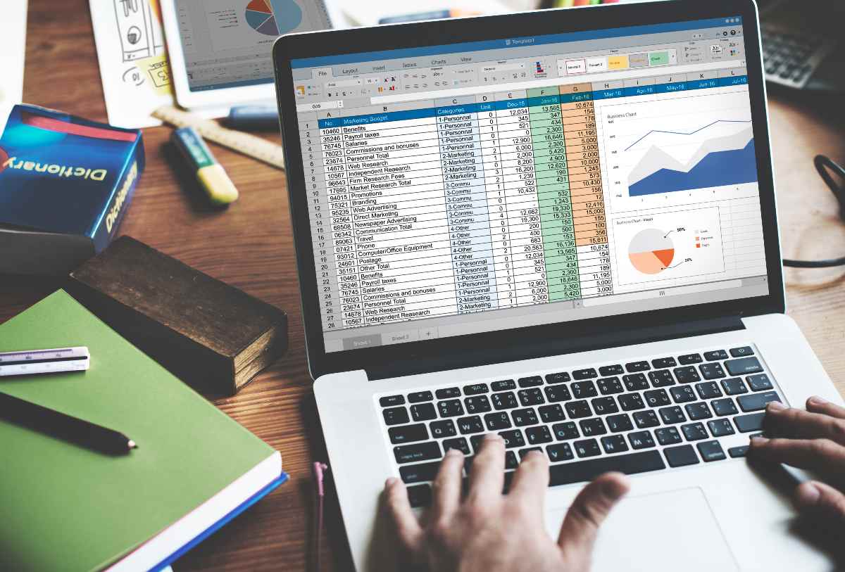 Software Audit
